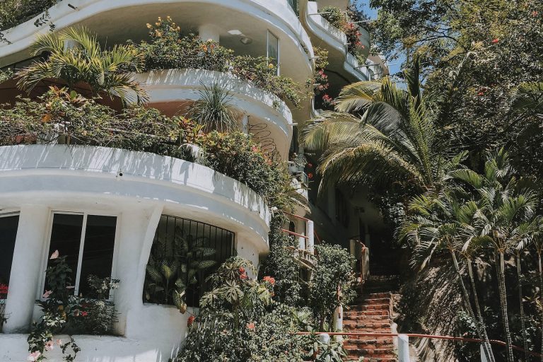 project outside pexels bianca 1560065 - Client Name